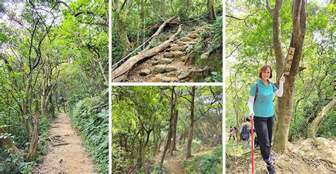 福人山|桃園楊梅福人步道｜愛心登山手杖免費借！輕量級步道呼吸森林滿 